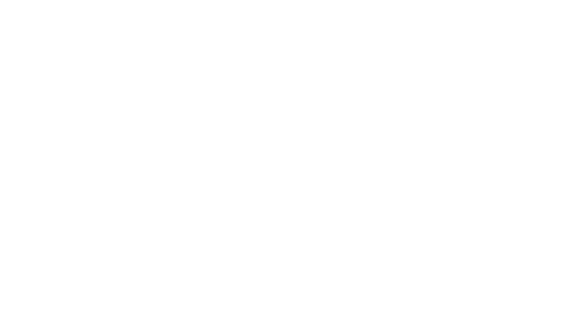 Dibuix a línia del Palau Nacional (MNAC).